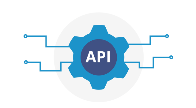Custom API Development