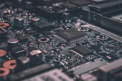 Website Hosting & Maintenance