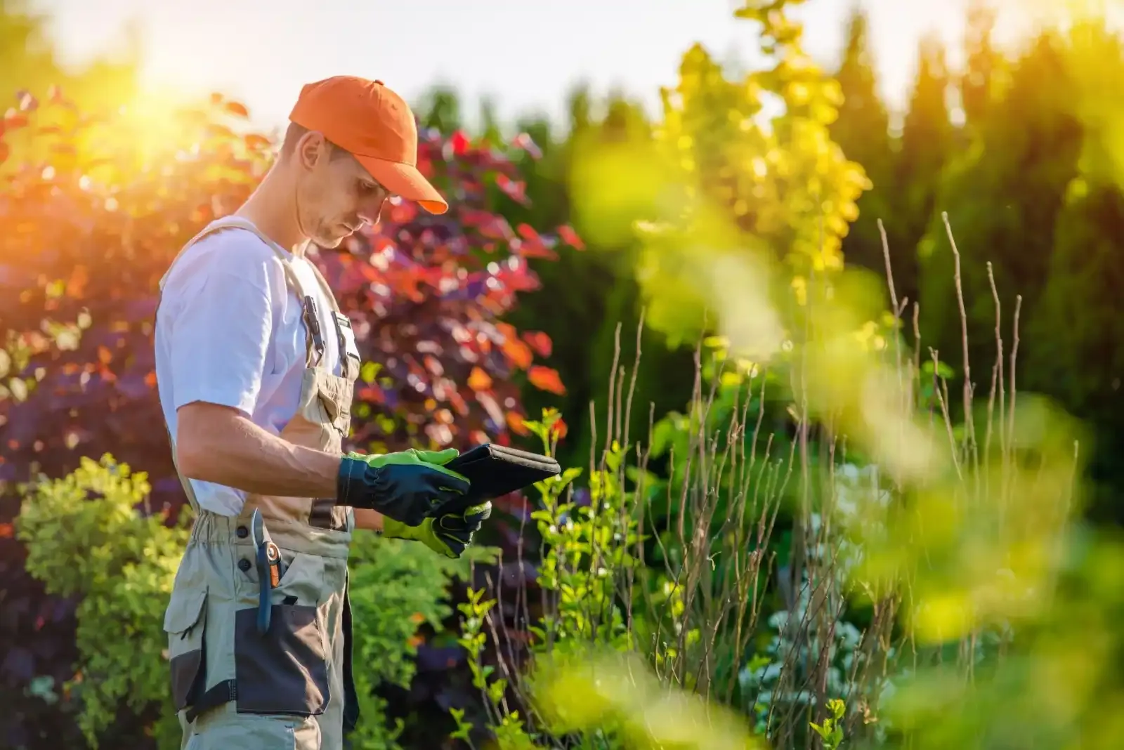 SEO for Landscapers & Gardeners